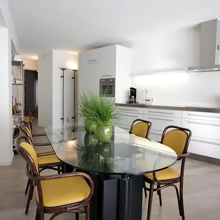 Apartment In Near Driehoeksplein *