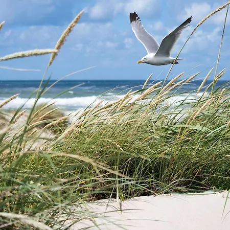 Lägenhet In Near Driehoeksplein Knokke-Heist